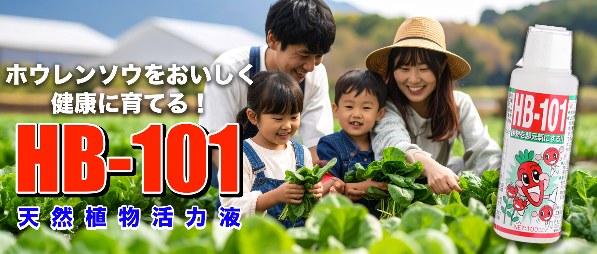 ホウレンソウを美味しく健康に育てる！天然植物活力液HB-101